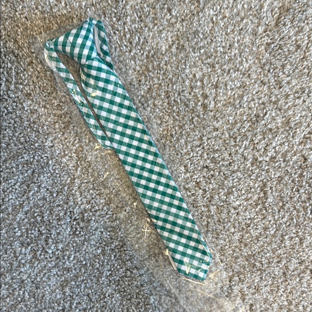 Ivy City Co green gingham tie boys size medium sibling matching
